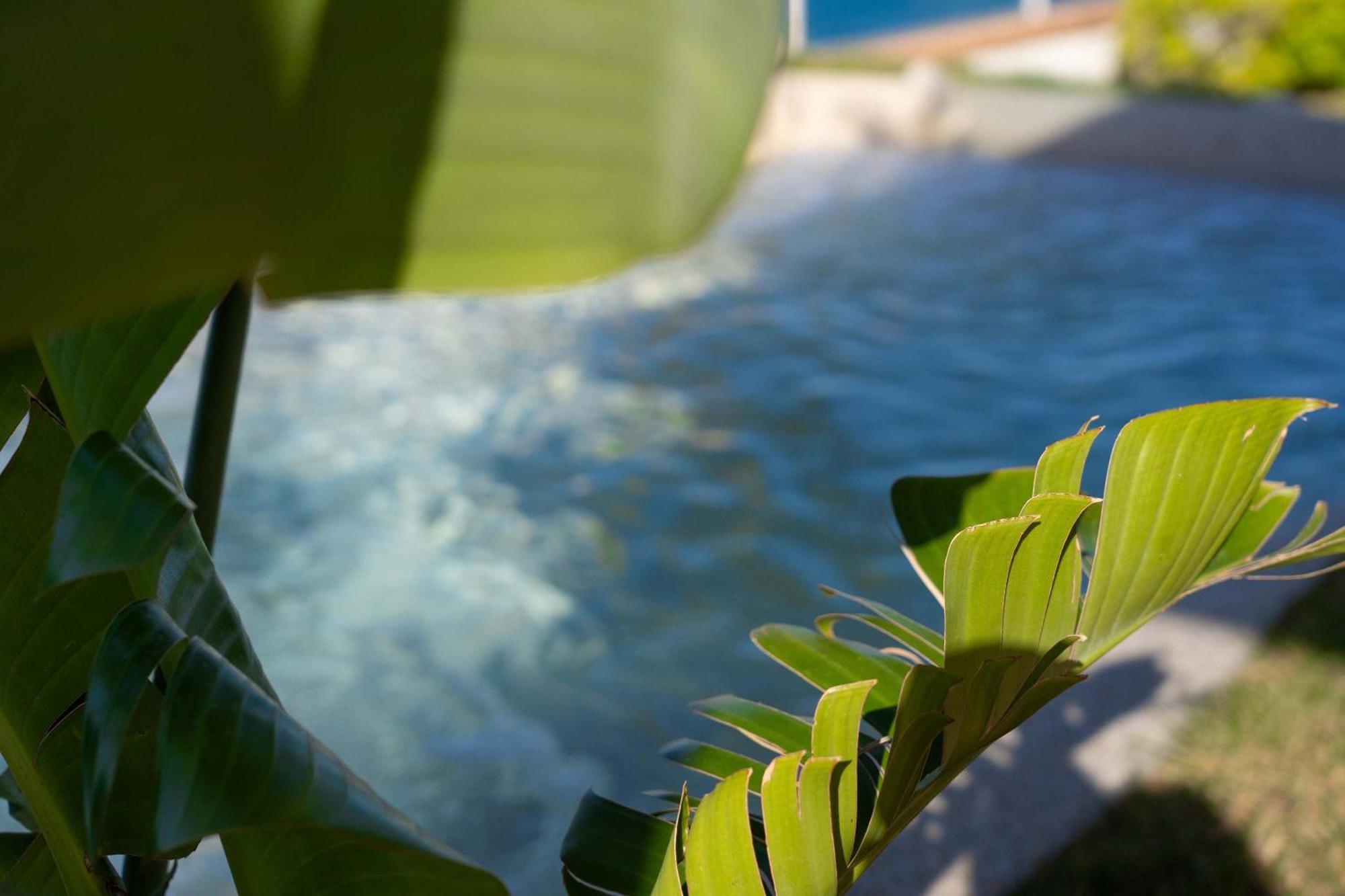 Villa Zagara Garden Spectacular Sea View In Taormina Exterior photo